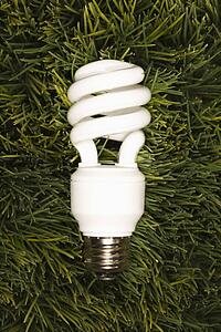 Studio shot of energy saving light bulb laying in grass