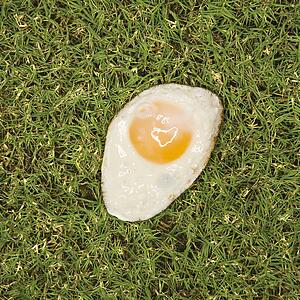 Fried egg in grass