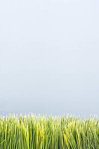 Strip of artificial green grass against blue background.