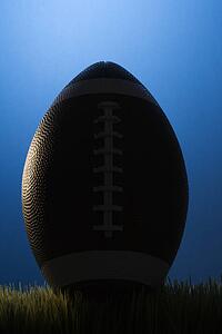 Studio shot of silhouette football resting in grass.