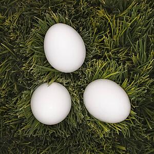 Studio shot of three white eggs laying in grass