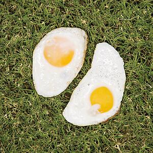 Two fried eggs on grass