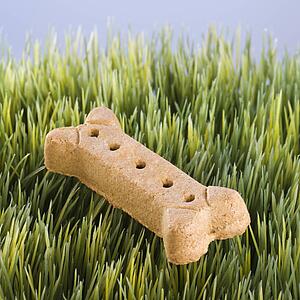 Studio shot of a dog treat laying in grass.