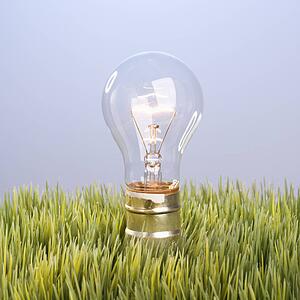 Studio shot of glass light bulb in grass