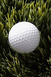 Studio shot of golfball resting in grass.