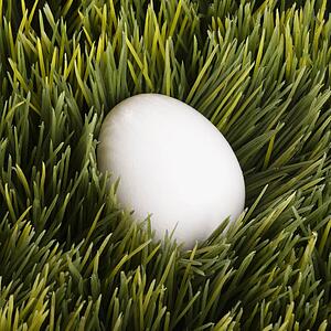 A white egg buried in grass.