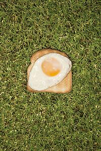 Fried egg on toast in grass.