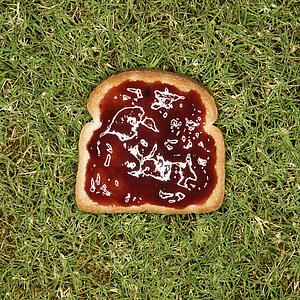 Slice of toast with jam on grass.