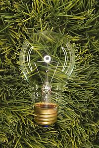 Studio shot of glass light bulb laying in grass