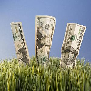 Studio shot of three twenty dollar bill placed in grass