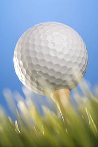 Studio shot of a golf ball on a tee in grass