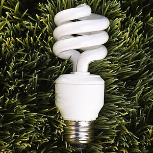 Studio shot of energy saving light bulb laying in grass