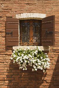 Basket of white petunias hanging from window sill