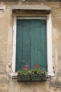 Window with closed shutters and flowerbox in Venice, Italy
