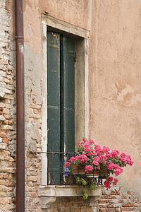 Window with closed shutters and geranium flowers in Venice, Italy