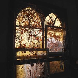Sunlight glowing through dilapidated arched windows covered in vines creating dreamy mood