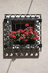 Potted red geraniums peeking through iron bars on sunny window sill.