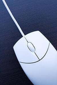 Still life of computer mouse.