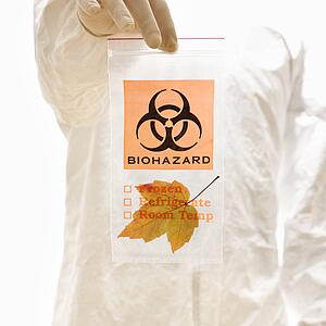Man in biohazard suit and rubber gloves holding plastic biohazard bag containing orange Maple leaf