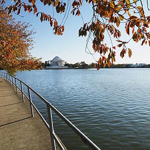 Jefferson Memorial in Washington, D. C., USA.