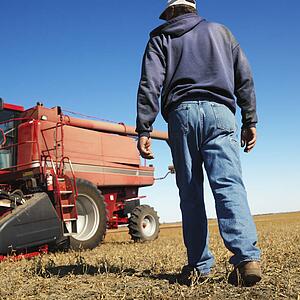 Low angle back view of Caucasion middle-aged male farmer walking toward combine in soybean field.
