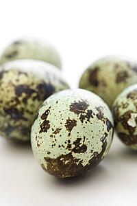 Still life of speckled eggs