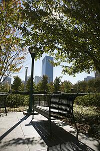 Empty bench in urban park in Atlanta, Georgia 