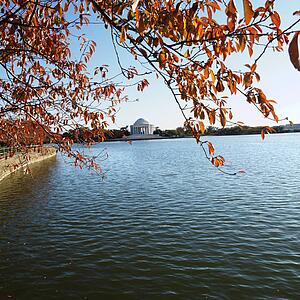 Jefferson Memorial in Washington, D. C., USA.