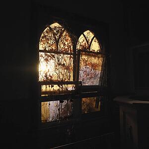 Sunlight glowing through dilapidated arched windows covered in vines creating dreamy mood
