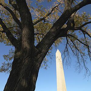 Washington Monument in Washington, D. C., USA.