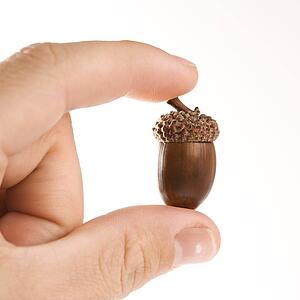 Hand holding up single acorn between two fingers