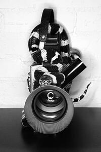 California Kingsnake wrapped around old movie camera