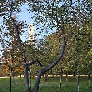 Washington Monument in Washington, D. C., USA.
