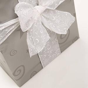 Large silver wrapped Christmas gift with bow