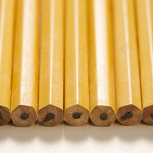 Close up of group of new unsharpened pencils lined up in an even row