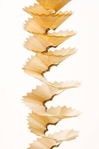 Close up of spiral pencil shavings