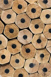 Close up of unsharpened pencil ends