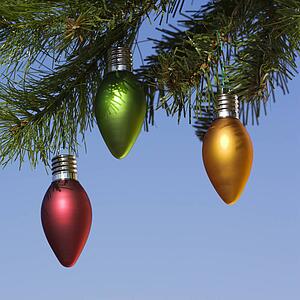 Red, green and orange ornaments hanging on Christmas tree branch against blue background.