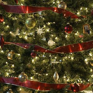 Close up of decorated Christmas tree.