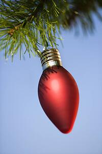 Red ornament hanging on Christmas tree branch against blue background.