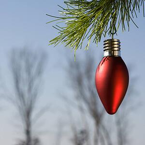 Red ornament hanging on Christmas tree branch winter trees in background.