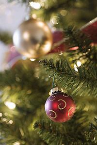 Close up of gold and red ornaments hanging in Christmas tree.