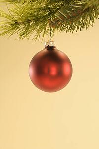 Still life of red Christmas ornament hanging from pine branch