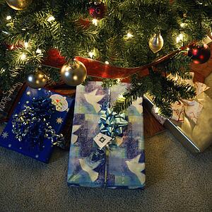 Christmas presents under decorated Christmas tree