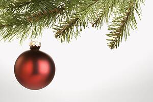 Still life of round red Christmas ornament hanging from pine branch
