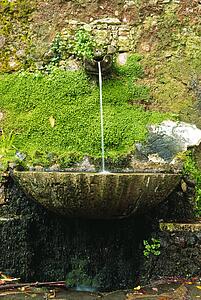 Fountain, Bucaco National Park, Portugal