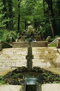 Steps in Bucaco National Park, Portugal