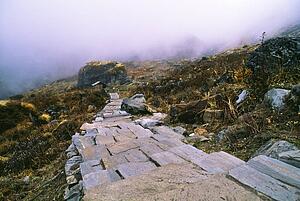 Stone path at Machhapuchhare base camp, Annapurna Region, Nepal