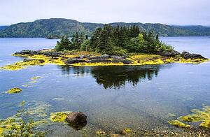 Lake near Swift Current, Burin Peninsula, Newfoundland, Canada
