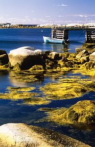 Boat at West Dover, Nova Scotia, Canada